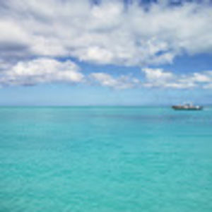 Meet your Posher, Evie